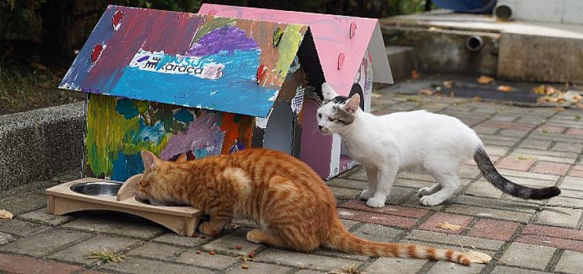 cocuklar-karacanin-kedi-evlerini-patili-dostlari-icin-renklendirdi.jpg