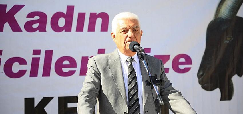 mugla-buyuksehirden-yatagana-kil-kecisi-destegi.jpg