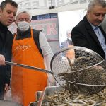 corlu-1-hamsi-festivaline-yogun-ilgi.jpg