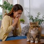 akilli-mamalar-kedi-alerjilerini-ortadan-kaldirabilir.jpg