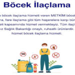 Neden İlaçlama Yaptırmalıyım?