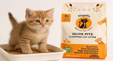 Kediniz ve dünya için devrim: Zeytin çekirdeğinden kedi kumu neden popüler?